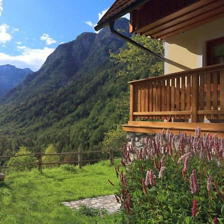 Zadnjica Holiday House Soča Esterno foto