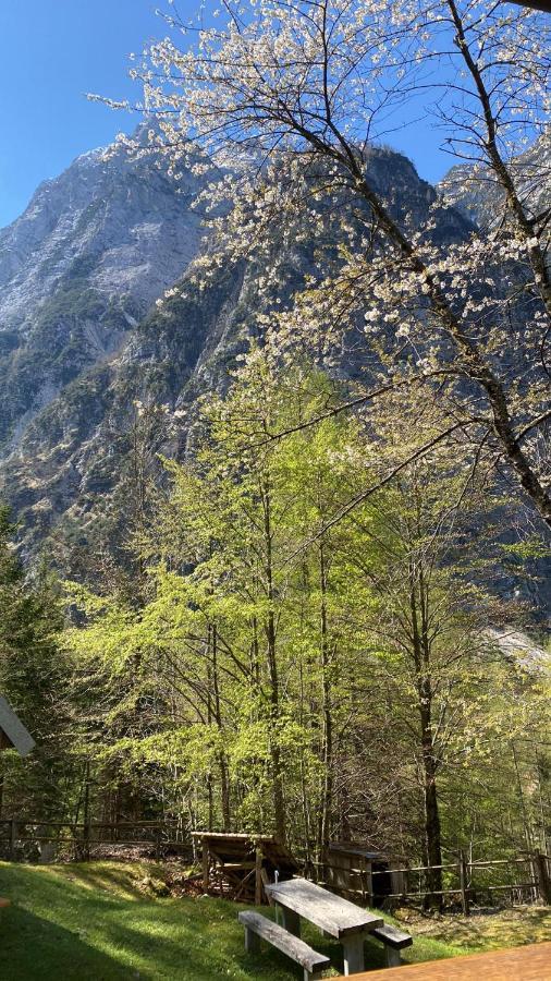 Zadnjica Holiday House Soča Esterno foto
