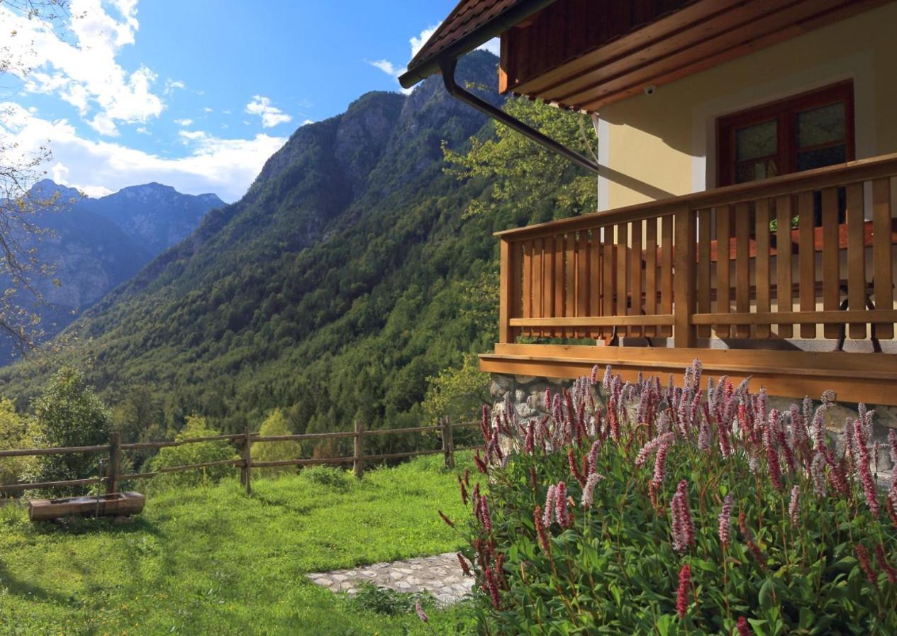 Zadnjica Holiday House Soča Esterno foto